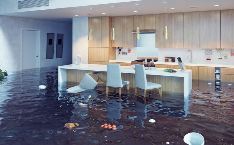  Le nettoyage après inondation à Montréal : Quelles sont les causes des inondations ?