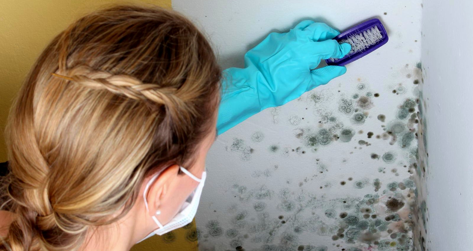  Quelles sont les mesures que les experts prennent afin de localiser le développement caché de colonies de moisissures, dans le cadre d’un processus de nettoyage ?